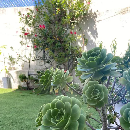 Garden Вилла