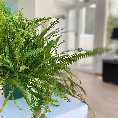 Garden * Кашкайш